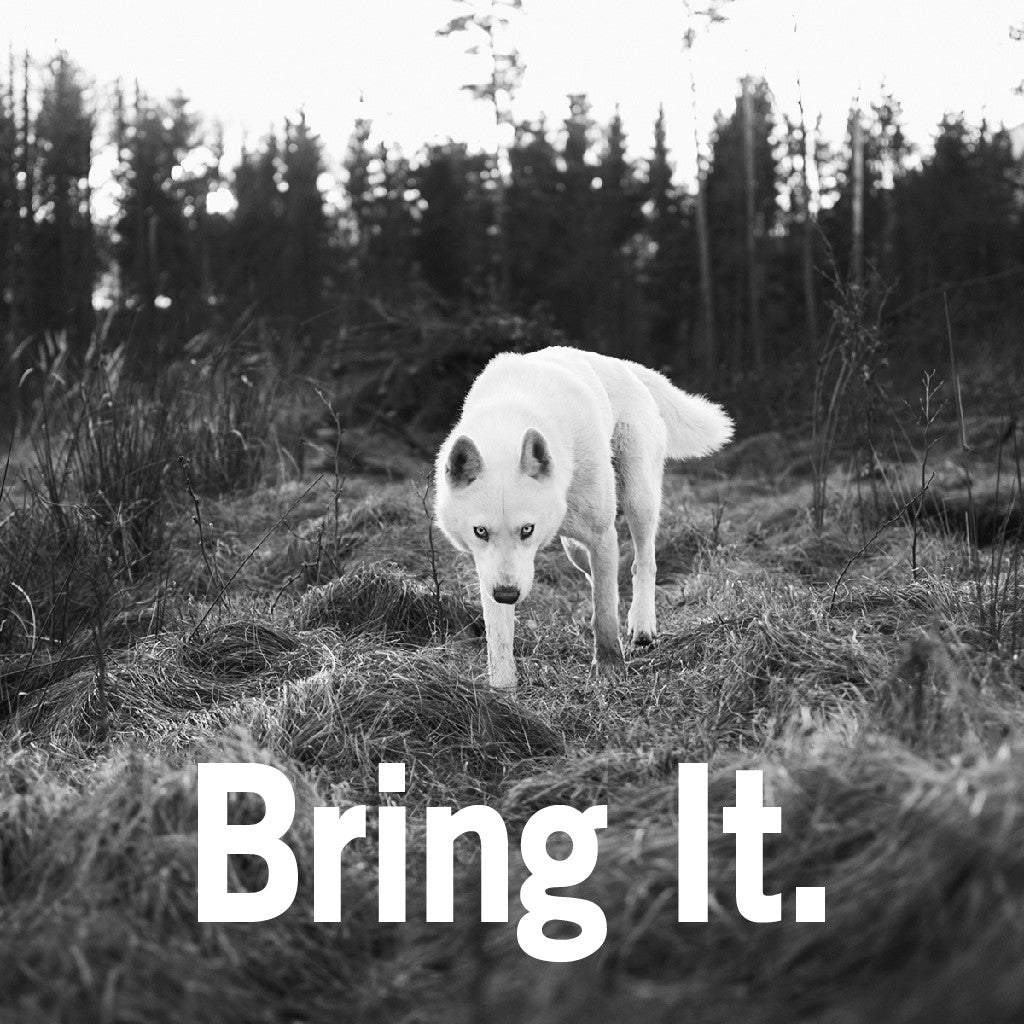 CUSTOM POSTER/SOCIAL MEDIA IMAGE DESIGN